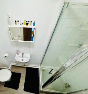 a bathroom with a toilet and a sink at Celtic Springs Room with Garden in Newport