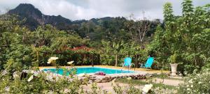 ein Swimmingpool mit zwei blauen Stühlen und Bäumen in der Unterkunft Mirador Jungle El Macuti in Rurrenabaque