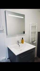 a bathroom with a white sink and a mirror at Chalet Guerlédan in Caurel