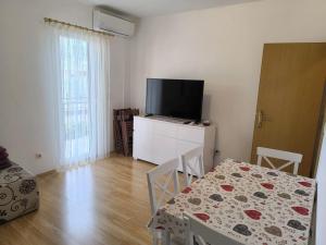 TV a/nebo společenská místnost v ubytování Apartment Davorka