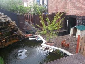 a backyard with a pond with a toy boat in it at Heavenly Nights Guest House in Sheffield