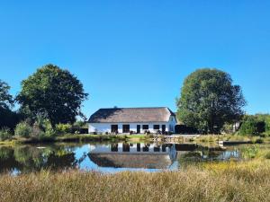 a white house sitting next to a pond at Schellerup Gård in Herning
