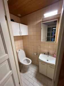 a small bathroom with a toilet and a sink at Ojuspirtti 26A Levi in Levi +12 photos