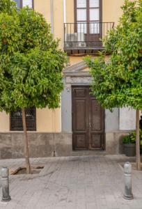 Fotografie z fotogalerie ubytování Apartamentos CENTRO v destinaci Granada