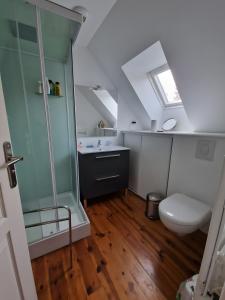 un baño con ducha y WC en Chez Félicie - 2 grands gîtes, en Albepierre 42 fotos más