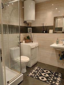 a bathroom with a toilet and a shower and a sink at Studio Koper in Koper
