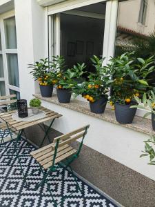 a porch with a bench and potted plants on a window at Studio Koper in Koper