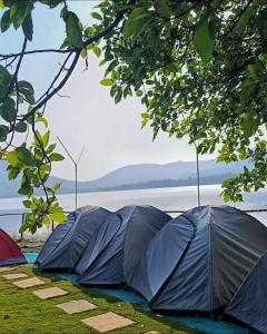 four black umbrellas sitting on the grass near the water at Mid Night Camping- Pawna Lake in Kolvan