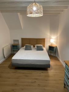a bedroom with a bed and a chandelier at Grande maison familiale avec piscine, 14 à 17 pers in Luçon