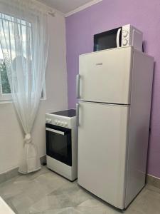 a refrigerator with a microwave on top of it in a kitchen at HH Lakes Tuzla - city center, free parking! in Tuzla