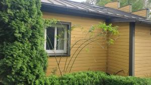 パルヌにあるCity Park Homeの茂みの隣に窓がある黄色い家