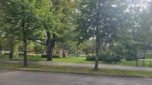 パルヌにあるCity Park Homeの道路脇の木々公園