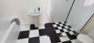 a bathroom with a sink and a toilet at Scheepers Rust Guest Farmhouse in Montagu