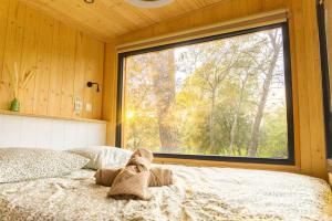 a bed in a room with a large window at Tiny-House en Nature - Salle de bain italienne - Lit king Grand confort in Le Luc