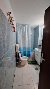 Un baño con inodoro, ducha y bañera. en Jupi, en Pržno