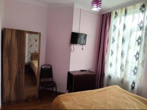 TV a/nebo společenská místnost v ubytování Guest house