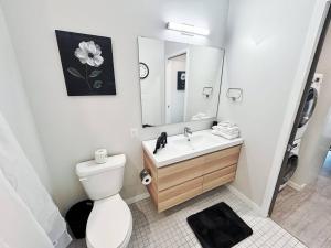 ein Badezimmer mit Toilette, Waschbecken und Spiegel in der Unterkunft Aqua Loft in Des Moines + 20 Fotos
