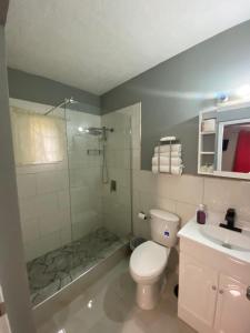 ein Badezimmer mit Dusche, Toilette und Waschbecken in der Unterkunft Kingsbird By The Sea Inn in Hopewell
