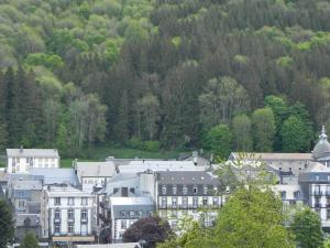 a group of buildings in front of a mountain at VILLA LOZELOUX n 2 in Le Mont-Dore