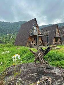 a house with a tree stump in front of it at Oasis Hotel & Resort Mazamitla in Caliguana
