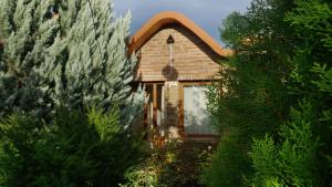a house with trees in front of it at Guesthouse Iago's Winery in Gorovani