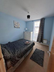 ein blaues Schlafzimmer mit einem Bett und einem Fenster in der Unterkunft Two bedroom flat in Darlington in Darlington