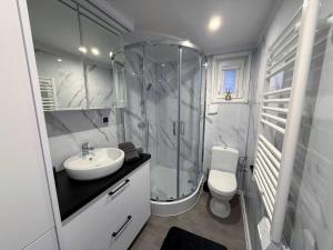 a bathroom with a shower and a sink and a toilet at TRB - Tiny Room Bodensee 2 in Gaißau