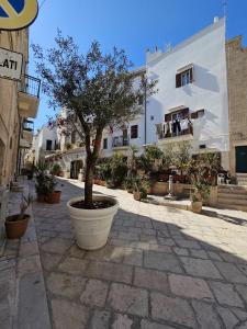 Clădirea în care este situat/ăapartamentul