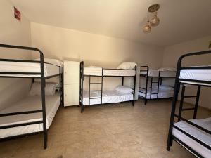 ティラナにあるAlina Hostelの二段ベッド1組が備わる客室です。