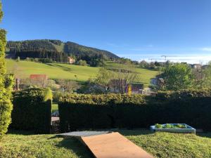 a garden with hedges and a bowl of flowers at Rosa-Lila Chalet in Métabief