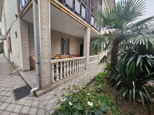 un porche de una casa con una palmera en LSD Kobuleti, en Kobuleti