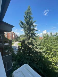 Φωτογραφία από το άλμπουμ του Cozy Apartment in Kavadarci North Macedonia σε Kavadarci