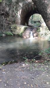 Φυσικό τοπίο κοντά σε αυτό το δωμάτιο σε οικογενειακή κατοικία