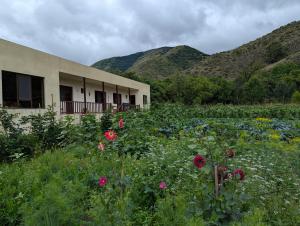 Afbeelding uit fotogalerij van Bee House in Kilda +35 foto's