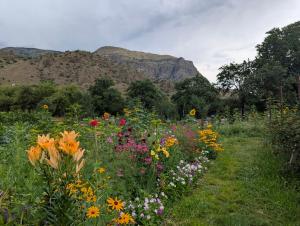 Afbeelding uit fotogalerij van Bee House in Kilda