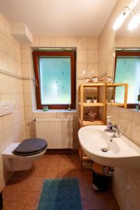 a bathroom with a sink and a toilet and a window at Villa Waldeck in Bad Schandau