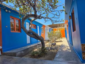 Φωτογραφία από το άλμπουμ του Illariy Wasi Hostal σε Arica