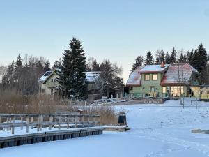 a house in the snow next to a lake at Lake View Apartment at North Lakeside Villa Plateliai in Medsėdžių