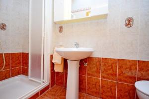 een badkamer met een wastafel, een toilet en een bad bij Apartments Biserka in Štanga +20 foto's