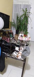 une pièce avec une table avec des plantes et un ordinateur dans l'établissement Petropolis, à Juan Lucas