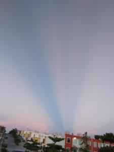un horizon de ville brumeux avec des bâtiments et des arbres dans l'établissement Petropolis, à Juan Lucas