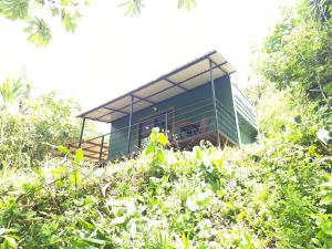 a blue house in the middle of some trees at Contenedor el Colibrí in Naranjo +8 photos