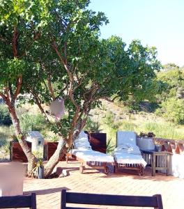 a group of chairs sitting under a tree at Caminito del Rey Carratraca in Sierra Las Aguas in Malaga