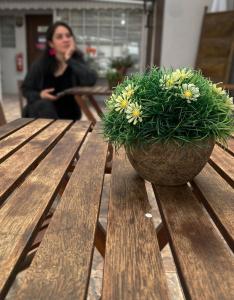 a woman sitting on a wooden bench with a pot of flowers at Hostal Dinamarca in Temuco