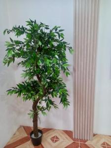 Billede fra billedgalleriet på Horizon House Piso 2 - Departamento i Puerto Baquerizo Moreno + 9 billeder