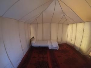 Postel nebo postele na pokoji v ubytování Starlit Desert Camp