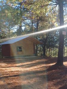 a small wooden cabin in the middle of a forest at Cabaña en el Rancho in San Jose del Pacifico