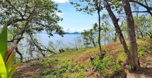 Φωτογραφία από το άλμπουμ του Teak house in a forest above the beach 