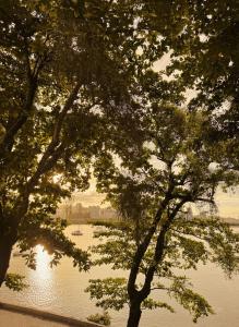 uitzicht op een rivier tussen twee bomen bij Apartamento à Beira-Mar na Urca in Rio de Janeiro +22 foto's