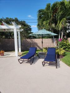 two blue chairs and an umbrella on a patio at Private Oasis!Bike to beach, heated pool in Naples +18 photos